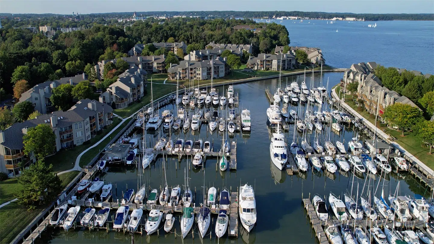 A marina filled with numerous docked boats and yachts, surrounded by residential buildings and green trees, with a large body of water and forested shoreline in the background.